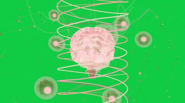 Translucent pink brain turning pulsing as helix starting orbs orbiting showing flow on transparent