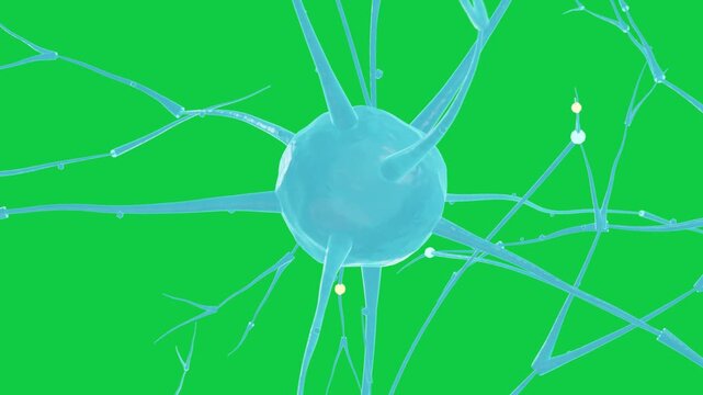 Cam rotation starting cyan neuron rotating pale markers moving to soma showing signal transparent
