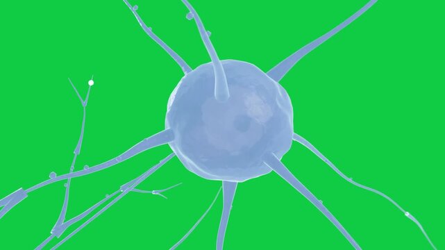 Bluish soma rotating, white bead appearing, moving along arm showing nodes on transparent backdrop