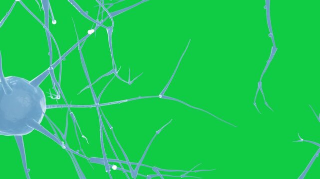 On play blue neuron drifting left branches spreading nodules sliding showing signal on transparent
