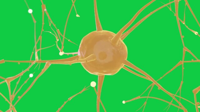 Camera orbiting starting neuron rotating glowing nodes moving showing signal flow on transparent bg