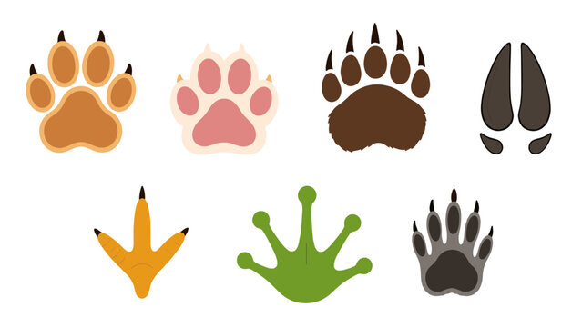 Set of animal footprint and track icons in flat vector style