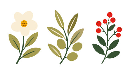 Minimal floral and botanical vector set with flower, leaves, and berries © Alan