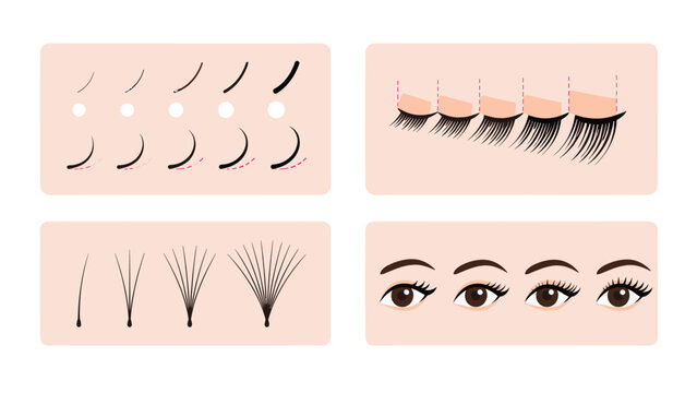 Eyelash extension guide infographic with curl, length, volume types