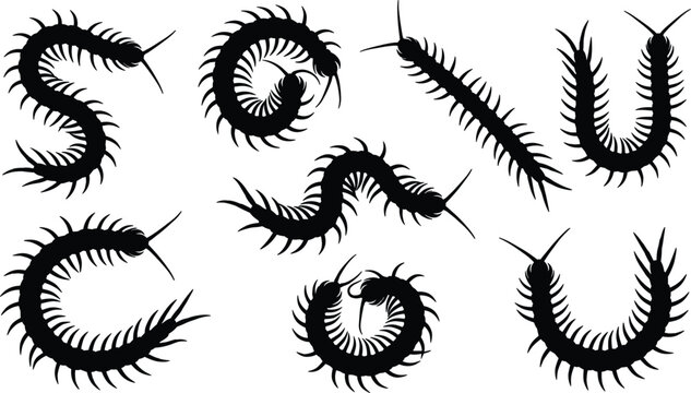 Black Centipede Silhouette Icon Set with Creepy Crawly Millipede and Insect Graphics for Halloween and Biology Designs
