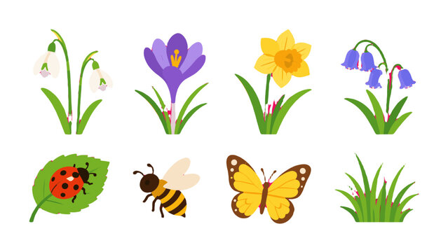 Spring flowers and garden insects flat vector set