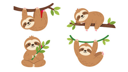 Fototapeta premium Cute hand drawn sloths in different poses on branches set