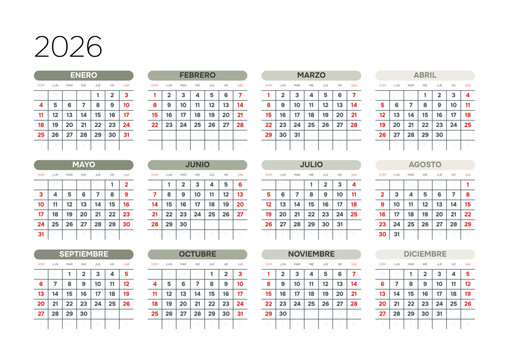 Spanish 2026 Horizontal 4x3 Grid Line Art Minimalist Annual Planner Ultra Clean Yearly Calendar Grid (Compatible with 2037 and 2043).