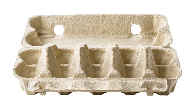Open beige molded pulp egg carton for ten eggs