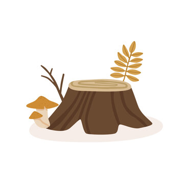 Tree stump with mushroom, branch and autumn leaf. Woodland nature element for forest, seasonal and botanical projects. Isolated flat vector illustration on background.