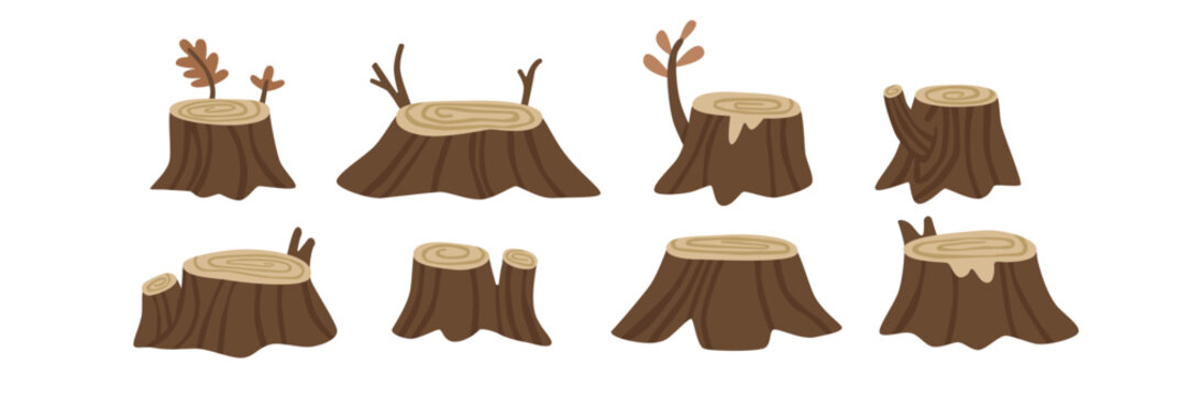 Collection of tree stumps with bark, branches and wood texture. Natural forest elements for woodland, autumn and nature themed projects. Flat vector illustration.