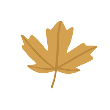 Single autumn maple leaf in warm seasonal color. Botanical nature element for forest, harvest and decorative projects. Isolated flat vector illustration on background.