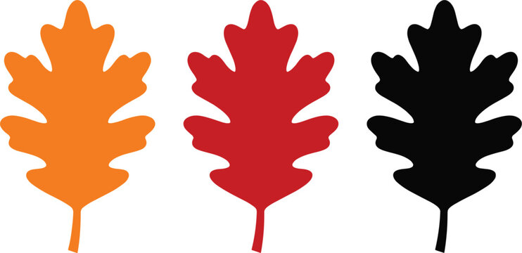 Autumn oak leaves collection set, colorful seasonal foliage vector illustration isolated design