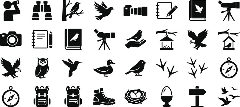 Set of black and white bird watching and ornithology icons.