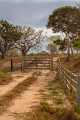 Fototapeta premium Estrada de terra com uma porteira de madeira na entrada de uma fazenda com vegetação seca. Imagem vertical.