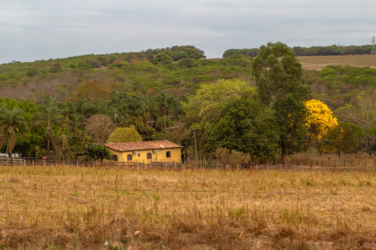 Paisagem de uma fazenda, com uma casa amarela no meio da vegeta&ccedil;&atilde;o local.