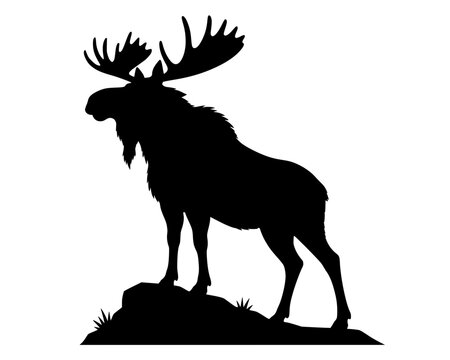 Moose Silhouette Standing on Rocky Hill Vector Illustration Isolated on White Background