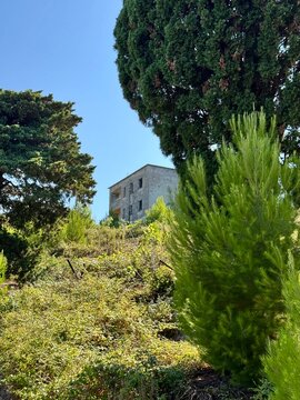 View of a concrete military ruin peeking through thick green mediterranean pine trees and vegetation on Sazan Island, Albania. Abandoned ghost town.