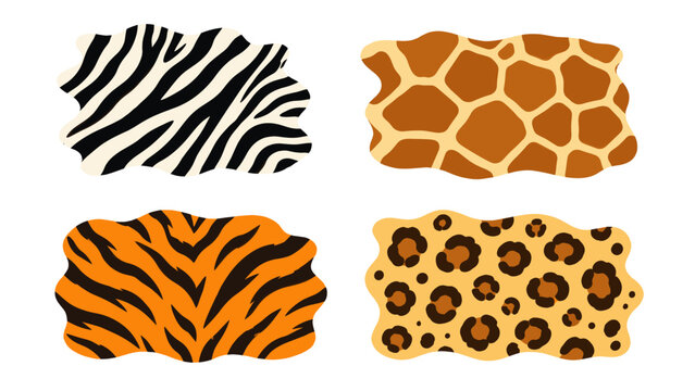 Set of four animal fur pattern swatches in flat vector style