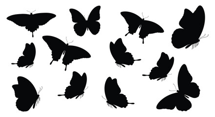 Black Butterfly Silhouettes Collection Minimalist Shapes Against White Background © Urmi512