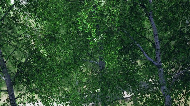In a forest, leaves on trees are bright and green. Sunlight filters through the branches, creating a lively scene. The trees stand tall among other plants.
