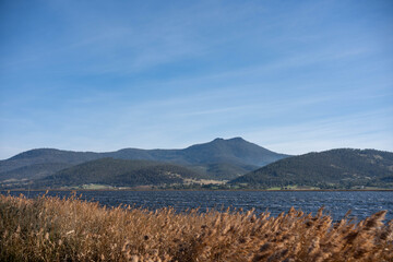 Fototapeta premium Golden reeds on a windy riverbank overlooking scenic mountains in the Tasmanian wilderness.