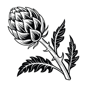 Healthy organic food ingredient artichoke vegetable isolated vector illustration