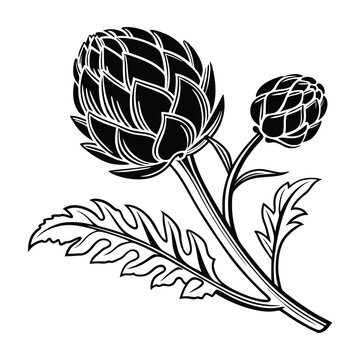 artichoke vegetable realistic vector illustration with detailed layered leaves 