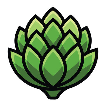 Fresh green artichoke vegetable isolated detailed botanical vector illustration on clean white background