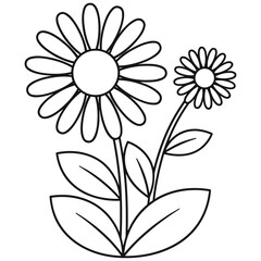 Fototapeta premium Daisies with leaves coloring page illustration on white background.