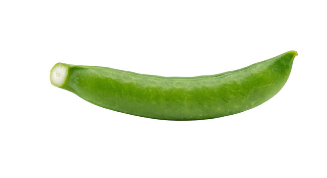 Single vibrant green sugar snap pea pod isolated on a clean white background