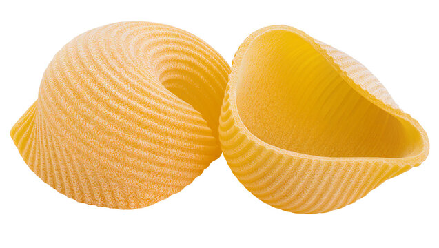 Two large rigatoni pasta shells with ribbed texture