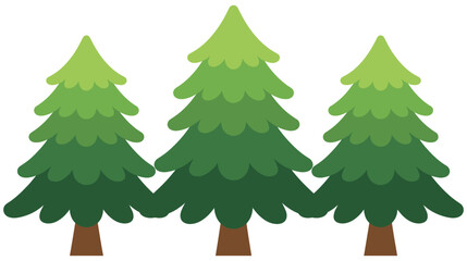 Fototapeta premium Three evergreen coniferous trees in a row, natural forest.
