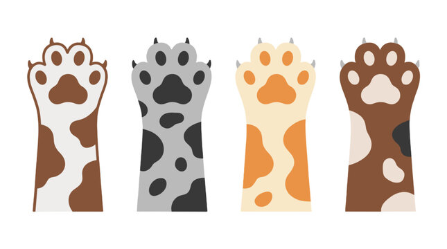 Set of four cartoon cat paws with different fur patterns