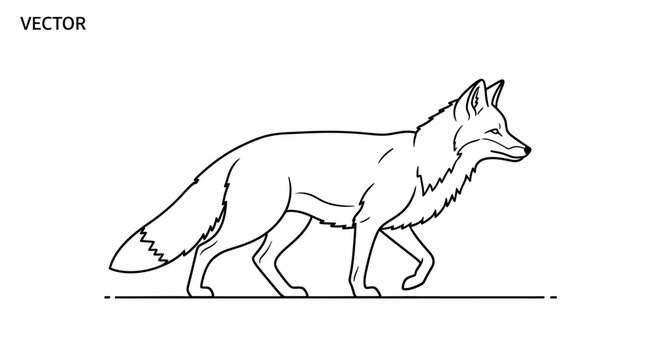 A black line drawing of a walking fox with a simple background.