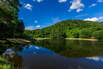 Fototapeta premium A natural backdrop of high mountains, surrounded by diverse trees, showcasing the beauty of the ecosystem and the meticulous management of the natural environment.