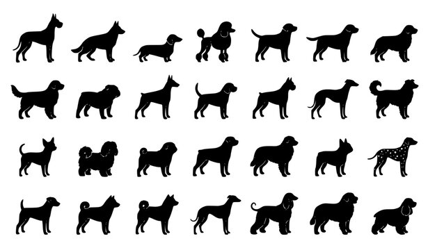 Black Standing Dog Silhouette Collection Vector Illustration