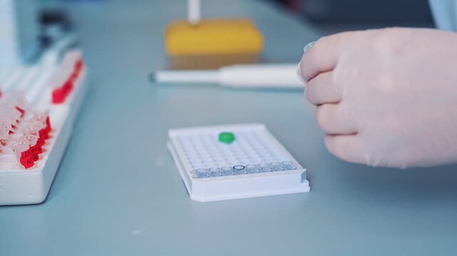 A scientist carefully pipettes liquid into a microtiter plate, conducting an experiment in a laboratory setting, close-up shot of hands in motion.