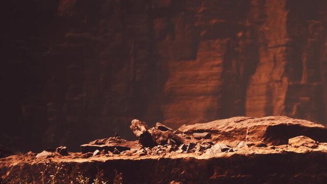 The sun shines on a large rock formation in a canyon. The walls of the canyon are tall and steep. There are small plants and rocks scattered around the base of the formation.