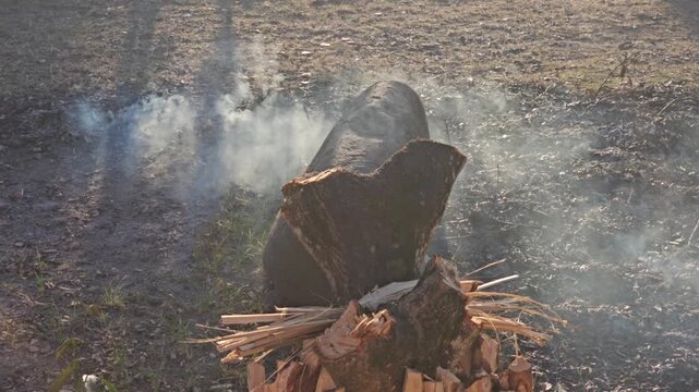 Person carrying a young child walks past a chopped tree stump and smoldering ground fire with rising smoke in a dry field