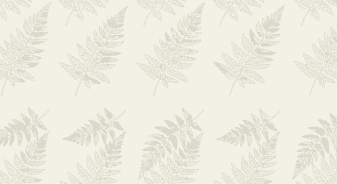 Fern leaf pattern design on a light background for various uses