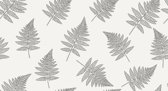 Fern leaves pattern on light background for natural design elements