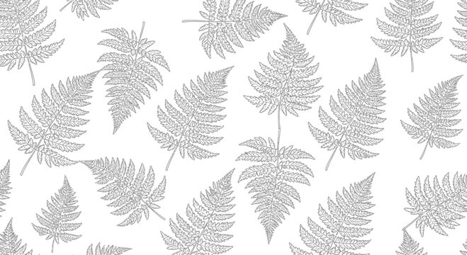 Fern leaves pattern on white background for design and decoration