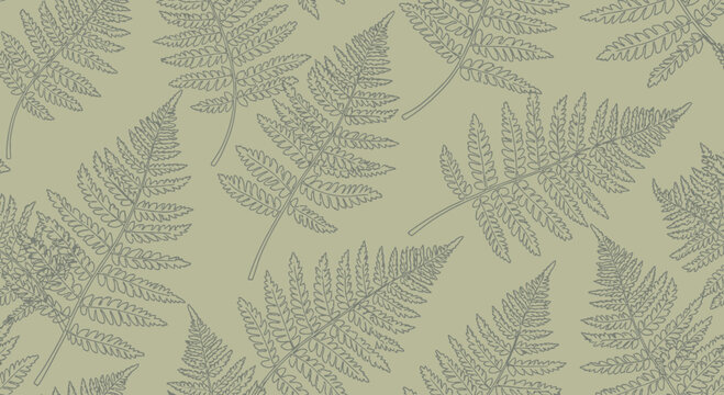 Fern leaves pattern repeating on olive green background design element