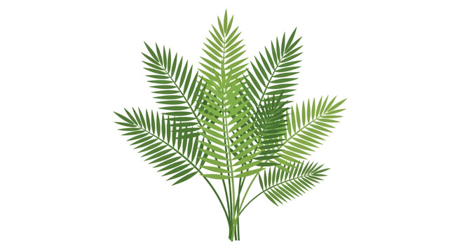 Green palm frond illustration on white background isolated for design