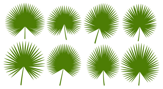 Green palm frond silhouettes vector illustration on white background