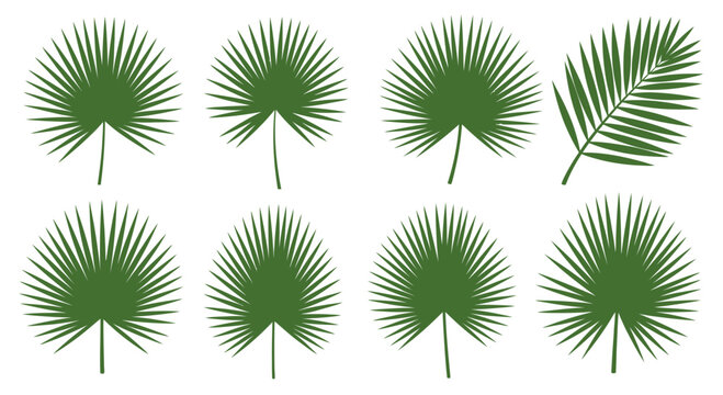 Green palm frond vector illustrations isolated on white background