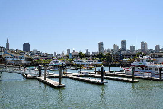 San Francisco California 05 Jun 2026 quiet marina docks with boats and skyline view