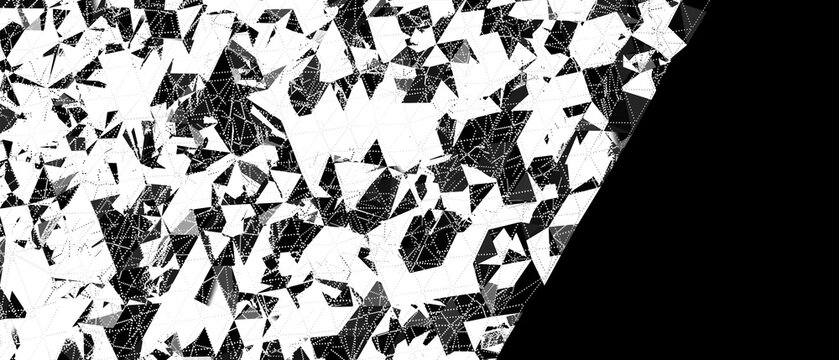 Black and white abstract geometric pattern with connected lines and points