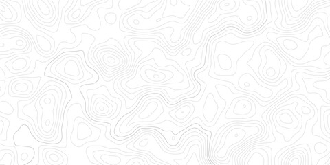 Modern landscape backdrop with subtle gray topography contour lines, seamless geographic mountain relief, white wave paper texture and abstract geometric cartography map grid. © Mirror